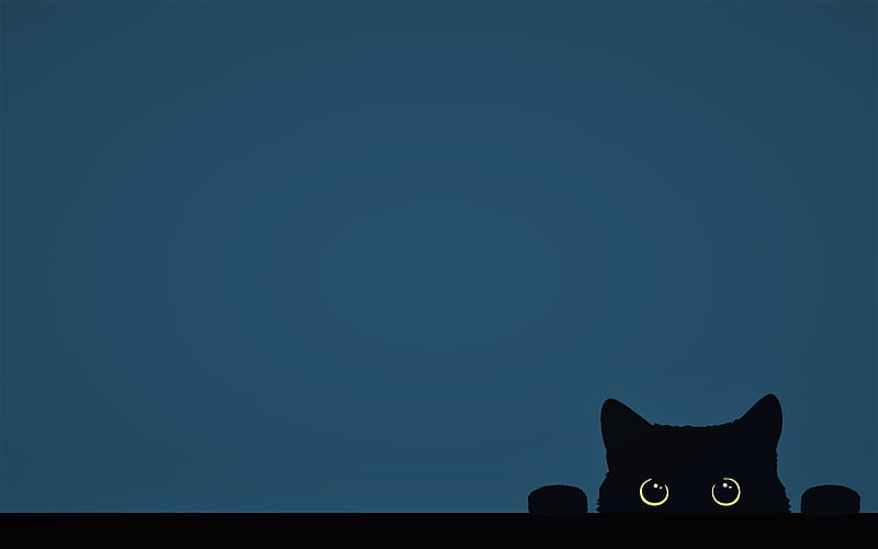 Minimalistic Cat 4K wallpaper  Wallpaper, Cat wallpaper, Cats