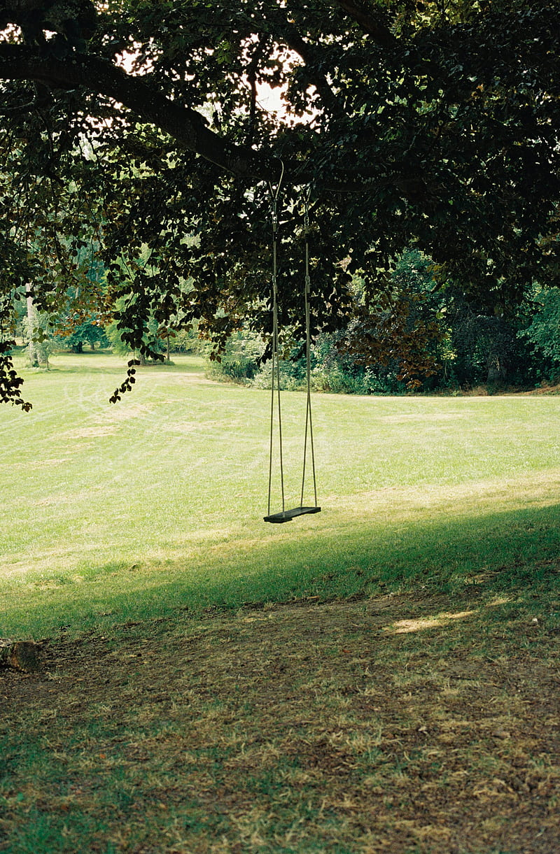 swing, tree, lawn, grass, greenery, HD phone wallpaper