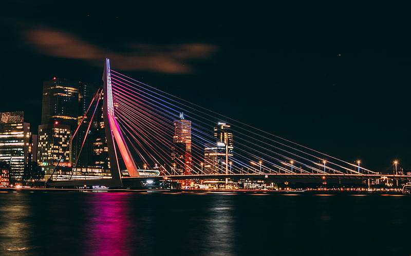 Erasmus Bridge, Rotterdam, Meuse River, night, Rotterdam cityscape, beautiful bridge, Netherlands, HD wallpaper