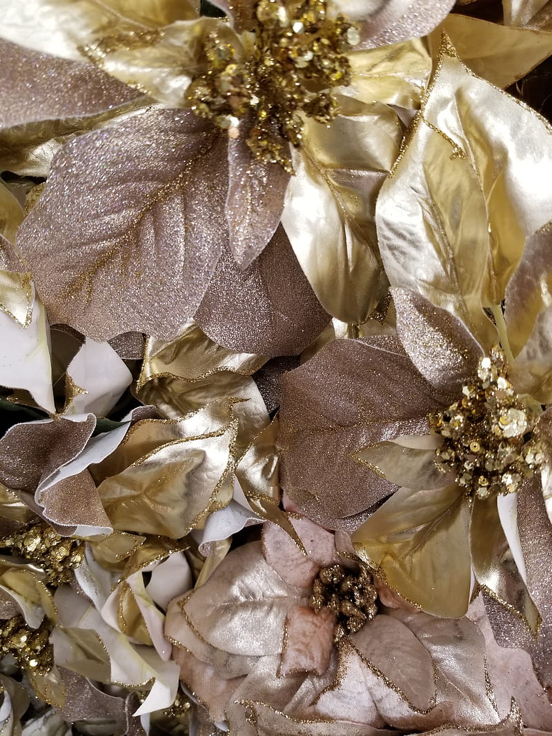 Christmas Poinsettia, elegant, flowers, gold, gold poinsettia, wedding, x-mas, xmas, HD phone wallpaper