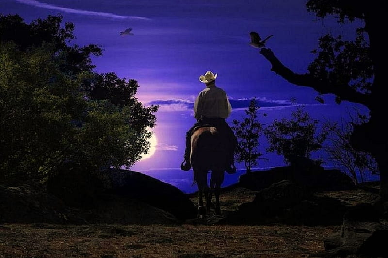 'Midnight ride'....., mountains, sky, horses, night, cowboys, HD wallpaper
