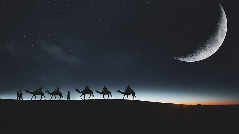 Moonlight Camel Caravan, sand, moon, desert, moonlight, crescent moon, camels, sky, caravan, HD wallpaper