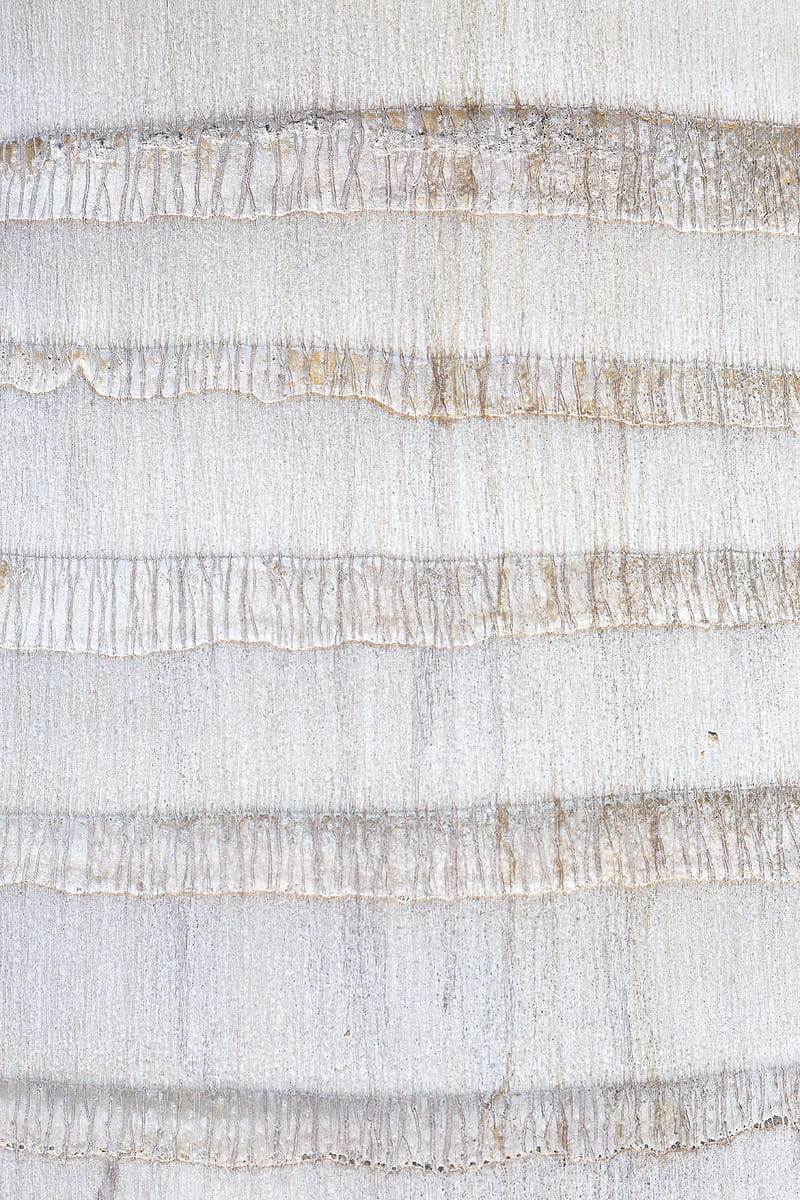 texture, stripes, wall, white, HD phone wallpaper