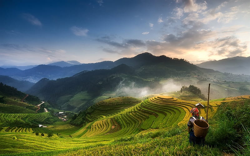 Mucangchai, sunset, plantations, rice fields, Vietnam, HD wallpaper