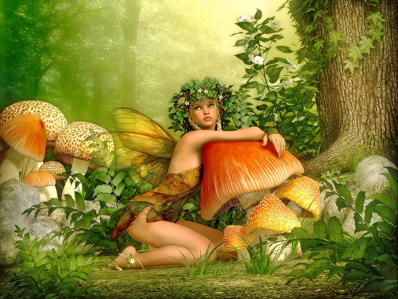 Forest fairy, pretty, forest, art, wings, bonito, magic, fairytale, fantasy, girl, mushrooms, fairy, enchanted, HD wallpaper