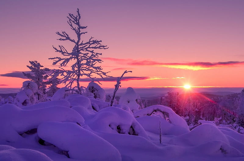 Winter Evening, sunset, drifts, snow, winter, HD wallpaper