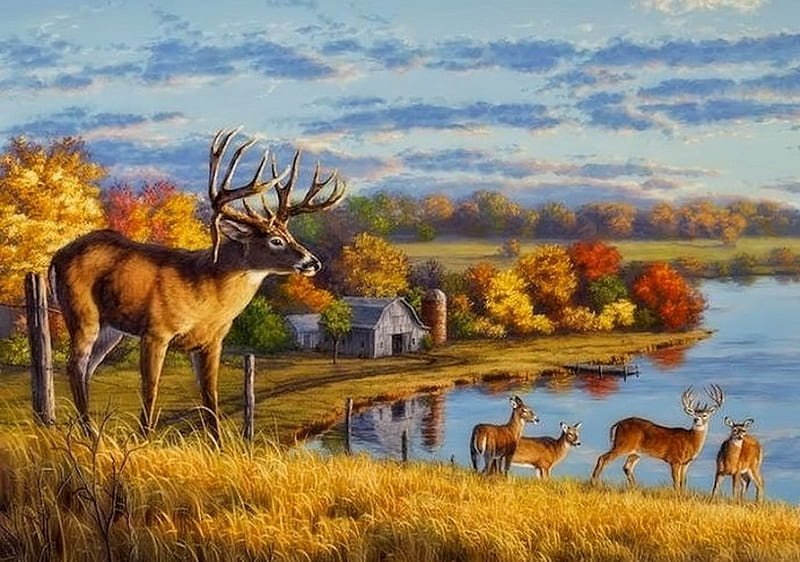 King of the Hill, Painting, Hill, Autumn, Deer, HD wallpaper | Peakpx