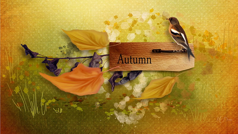 Autumn Bird, fall, autumn, leaves, bird, sign, season, abstract ...