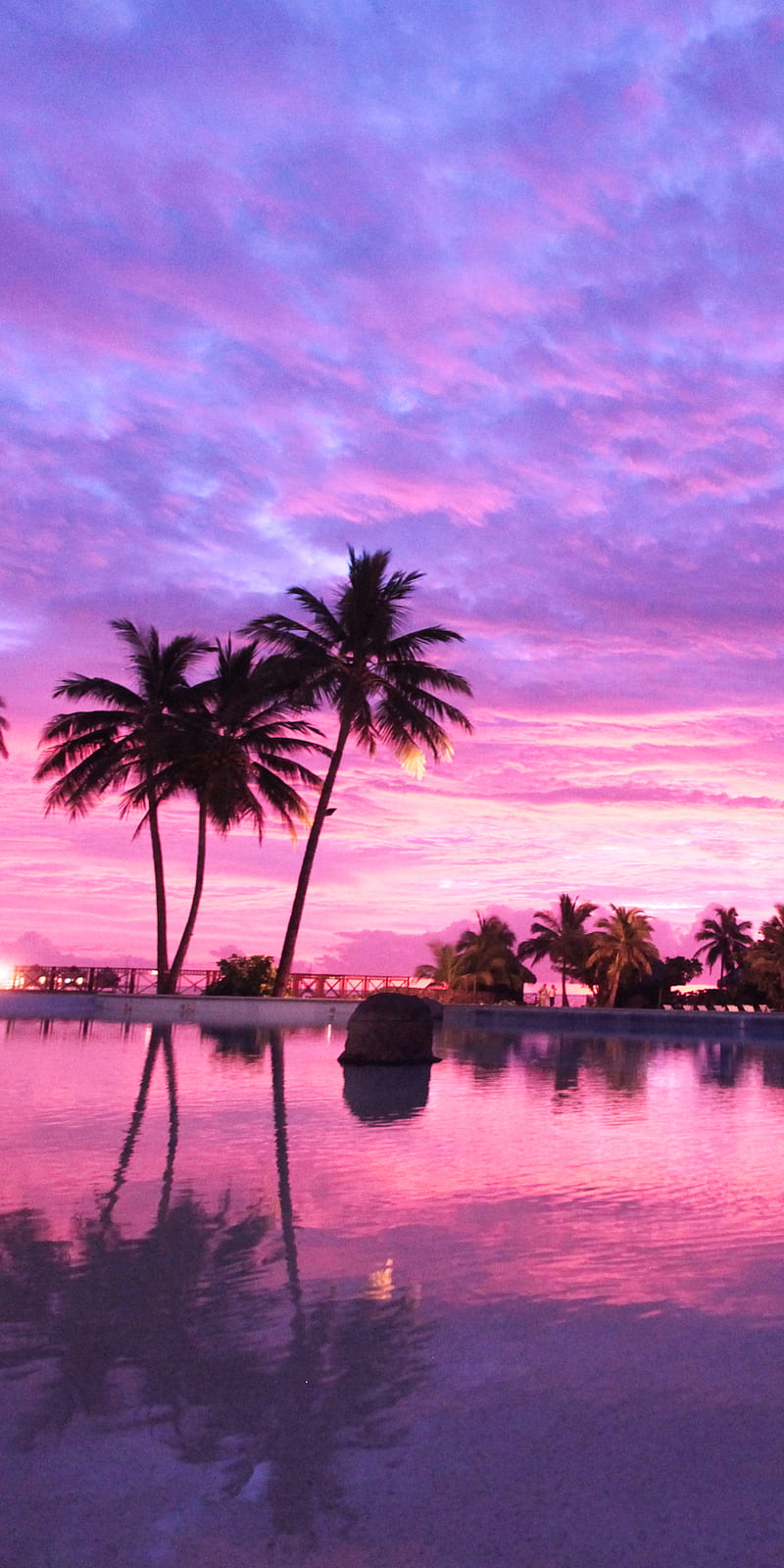 Palms, beach, landscape, pink, sunset, HD phone wallpaper