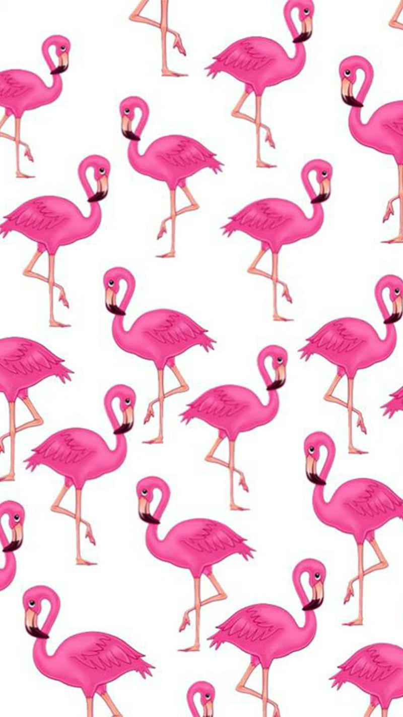 Flamingo Patterns, animals, birds, pink, white, HD phone wallpaper