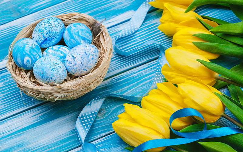 Blue Easter Eggs, yellow tulips, spring yellow flowers, eggs in the nest, Easter background, blue wooden background, Easter, HD wallpaper