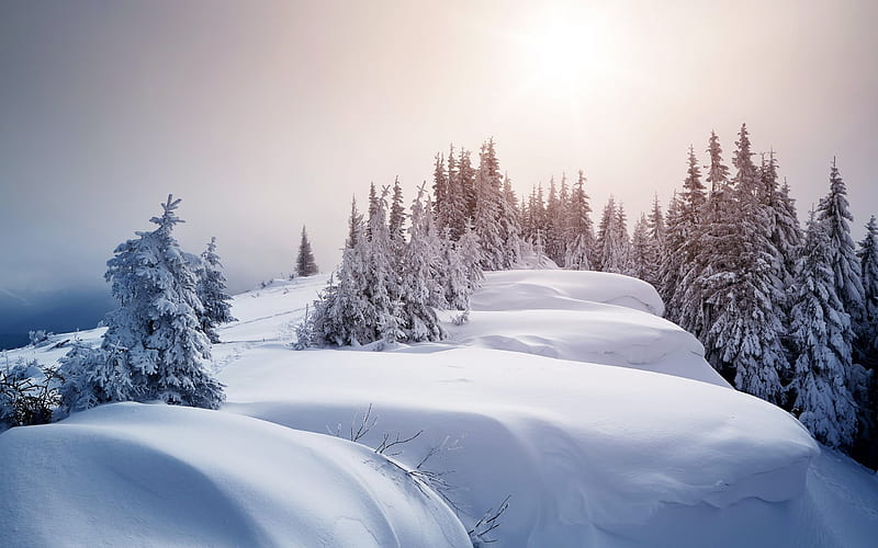 snow, forest, mountain snow, mountains, gori, winter, HD wallpaper