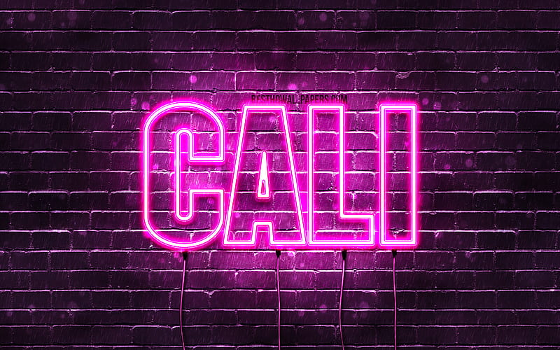 Cali with names, female names, Cali name, purple neon lights, horizontal text, with Cali name, HD wallpaper