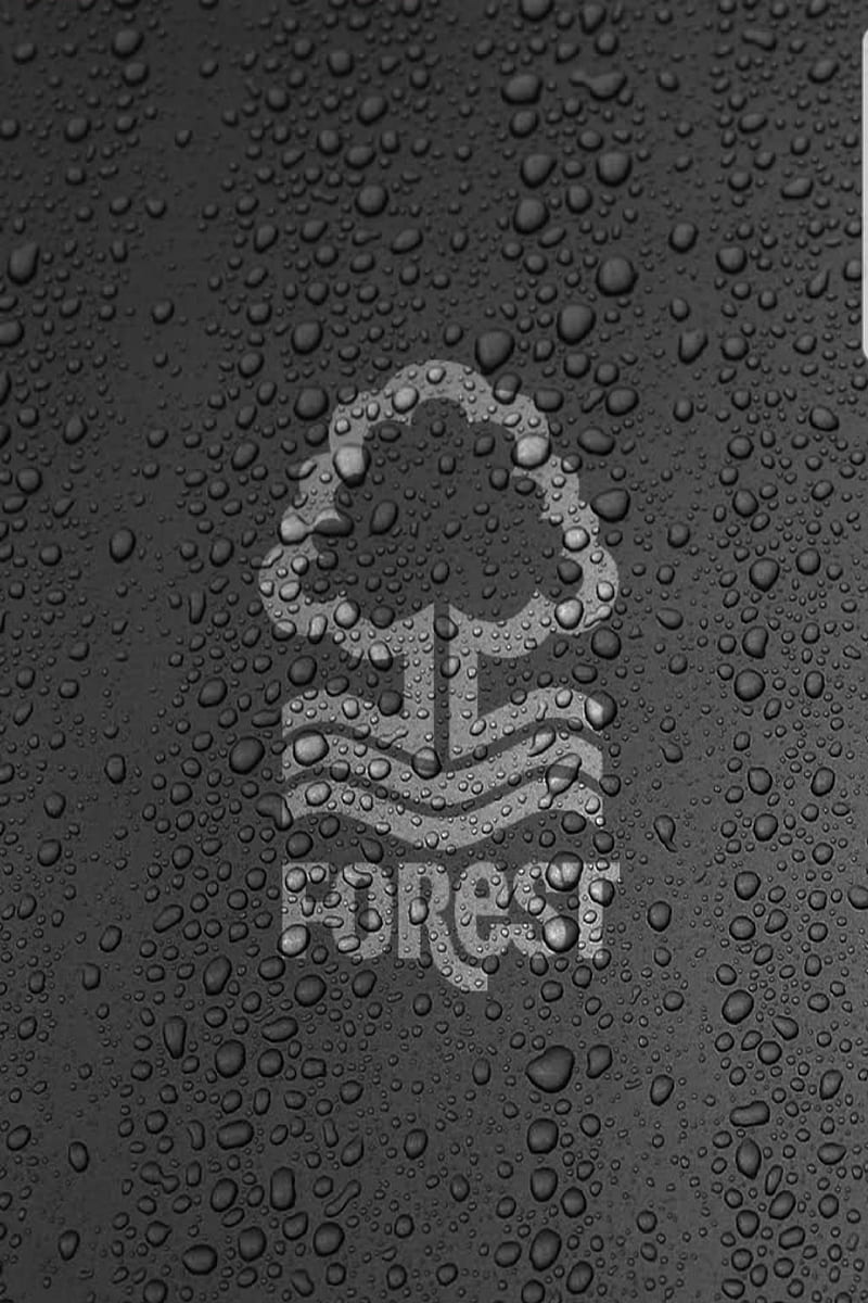 Nottingham forest, football, HD phone wallpaper