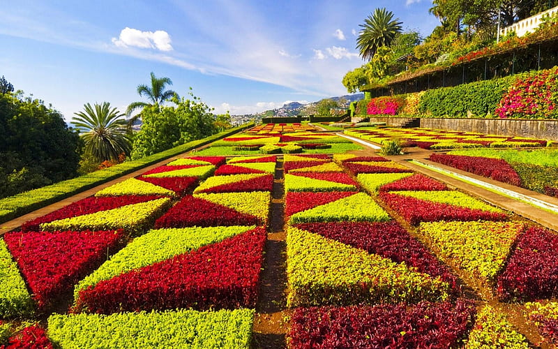 Madeira Botanical Garden Portugal, Red, Portagugal, bonito, Flowers, Yello, HD wallpaper