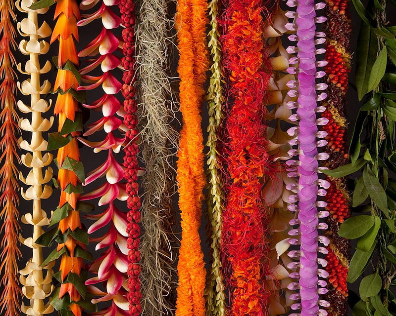 Hawaiian Leis, colors, flowers, necklace, leis, HD wallpaper