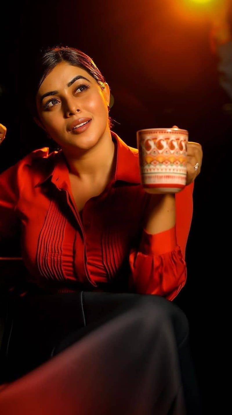 Poorna Kasim , multilingual actress, model, HD phone wallpaper