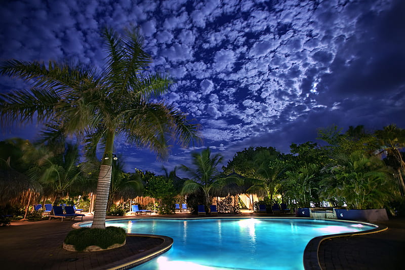 MOONLIT BEACH CLUB, clouds, pool, sky, palm trees, night, moonlit, HD wallpaper