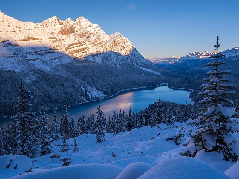 Peyto Lake, Banff National Park, - Alberta - Canada, reggel, nemzeti park, Peyto lake, Canada, havas, ho, hegyseg, tel, sziklak, HD wallpaper