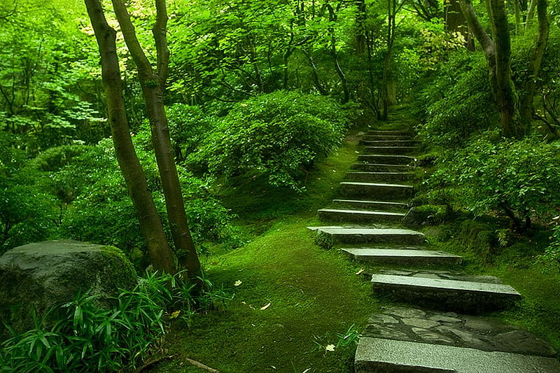 Steps to Heaven, cool, green, garden, steps, HD wallpaper
