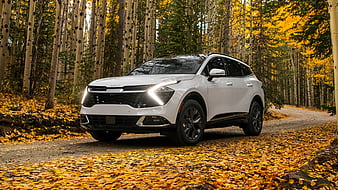 2023 Kia Sportage SX Cars, HD wallpaper