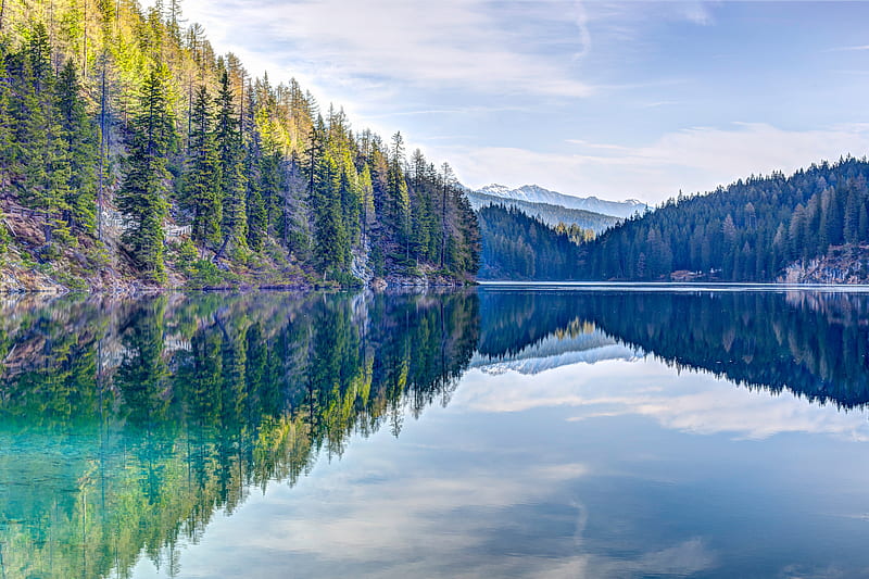 Pine Trees Reflection , reflection, trees, nature, HD wallpaper