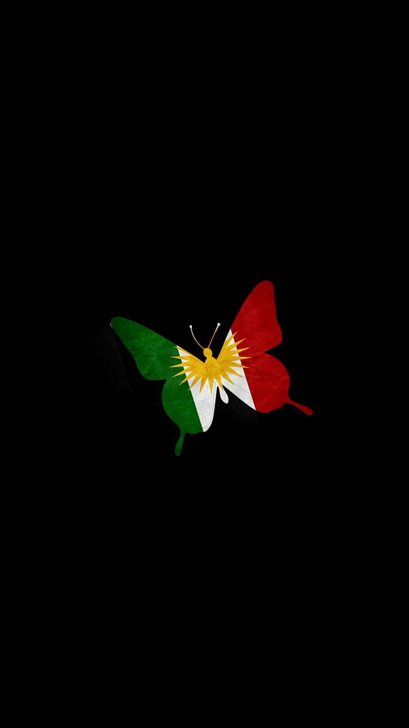 11 Irak❤️-Ideen  kurdische flagge, kurdische zitate, abstrakte iphone  bildschirmhintergrund