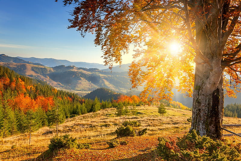 Sunny autumn day, mountain, fall, sun, autumn, tree, colors, valley, HD wallpaper