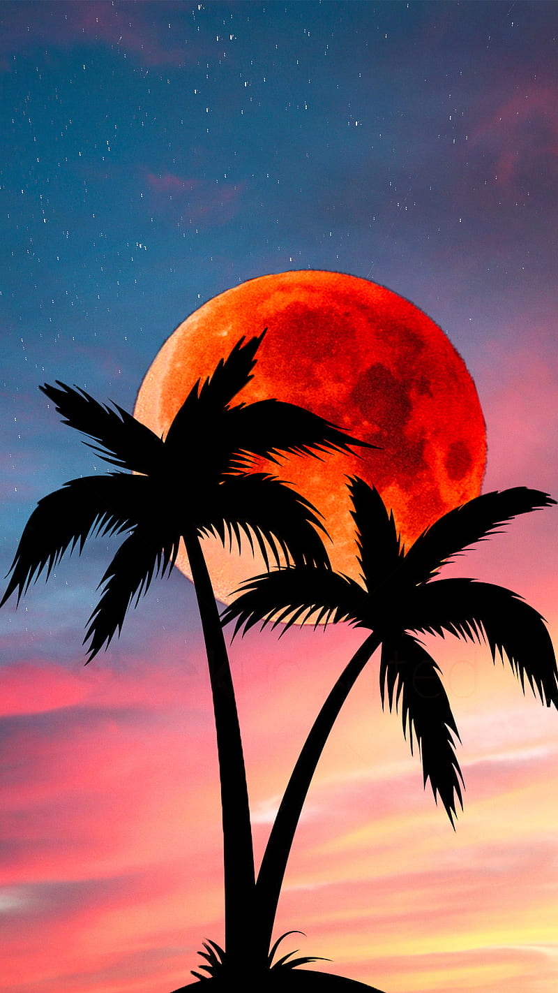 PALM AND SUNSET, SILHOUETTE, dark, love, moon, night, red, silhouette