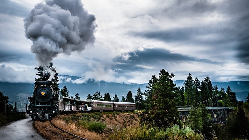 Steaming, railway, train, engine, steam, trees, smoke, HD wallpaper