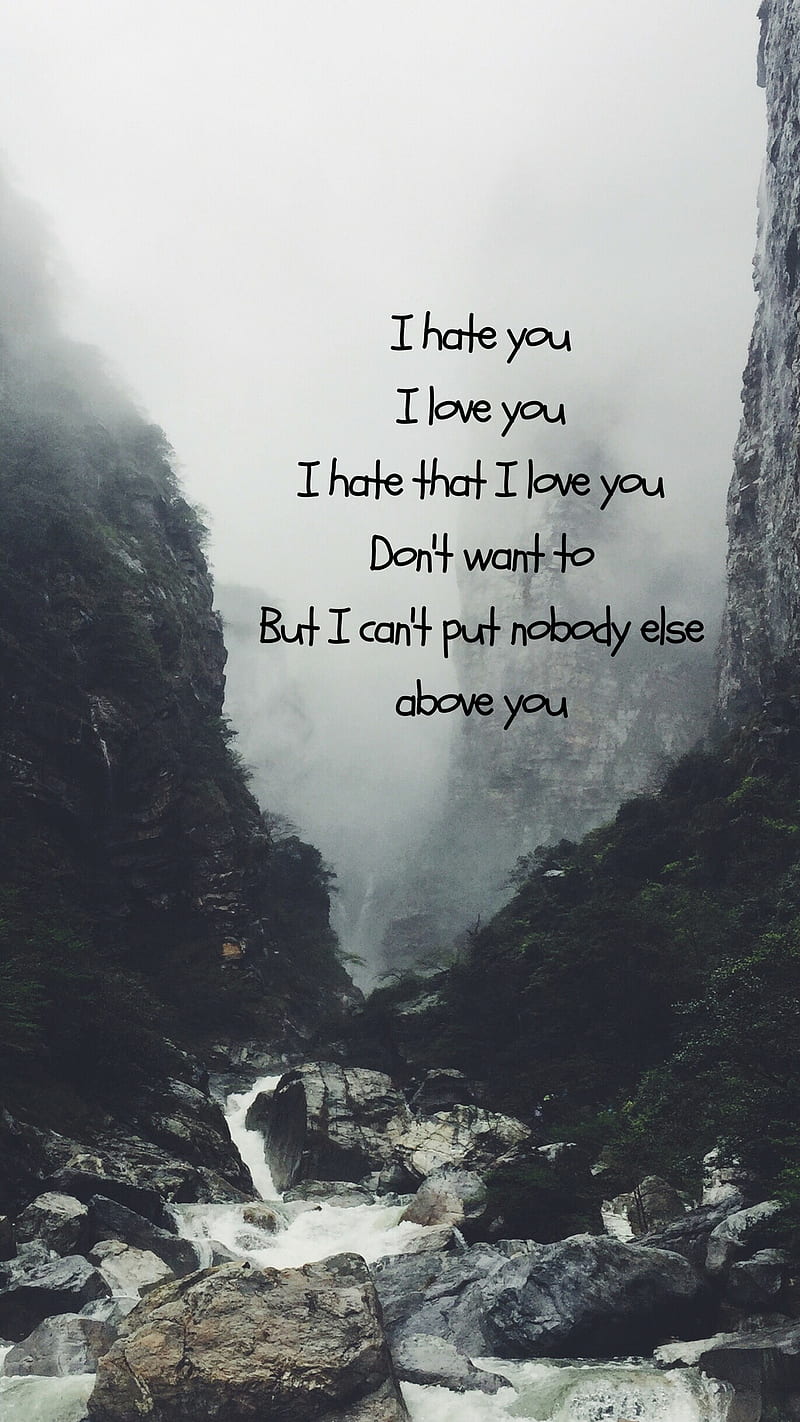 I Love You I Hate You Lyrics Meaning