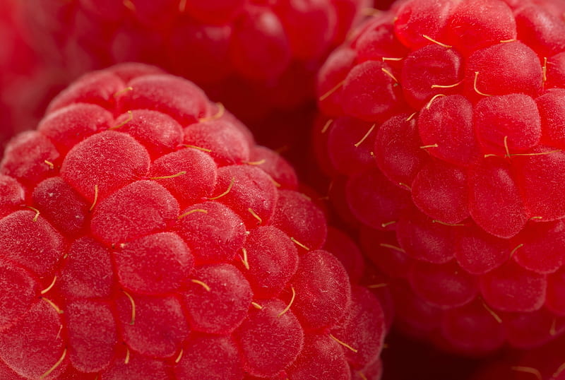Raspberries, raspberry, skin, texture, red, fruit, zmeura, HD wallpaper