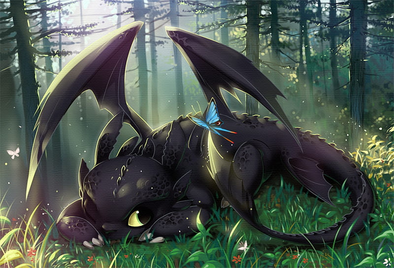 toothless, butterfly, bonito, dragon, wood, HD wallpaper