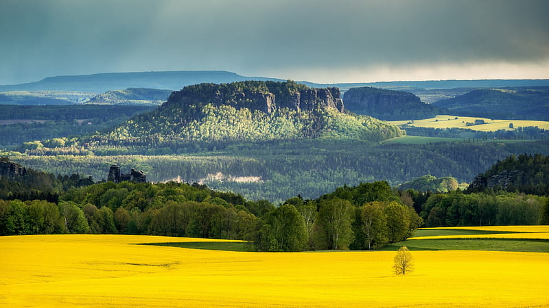 Saxon Switzerland, Field, National park, Germany, Elbe Sandstone mountains, HD wallpaper