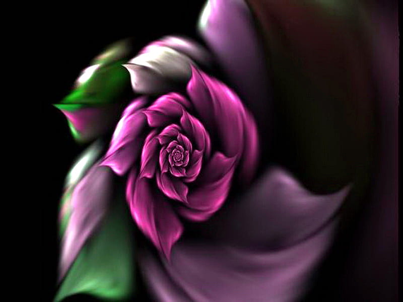 For Suji, purple, green, rose, flower, black, white, abstract, pink, HD wallpaper