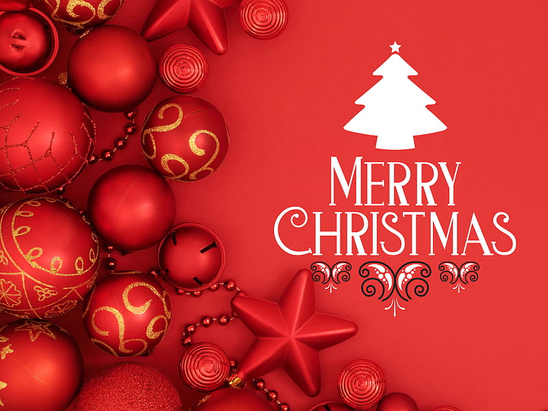 Merry Christmas 2021: , Quotes, Wishes, Messages, Cards, Greetings, , GIFs and - Times of India, Christmas Celebration, HD wallpaper