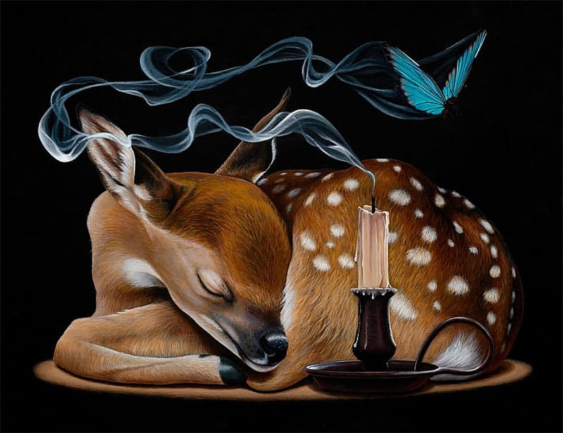 Sleeping deer, jacub gagnon, pictura, candle, art, sleep, caprioara, brown, black, deer, fantasy, butterfly, painting, night, HD wallpaper