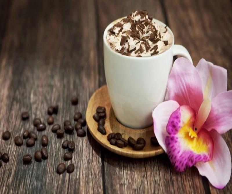 Cappuccino Chocolate, drink, flower, food, other, HD wallpaper