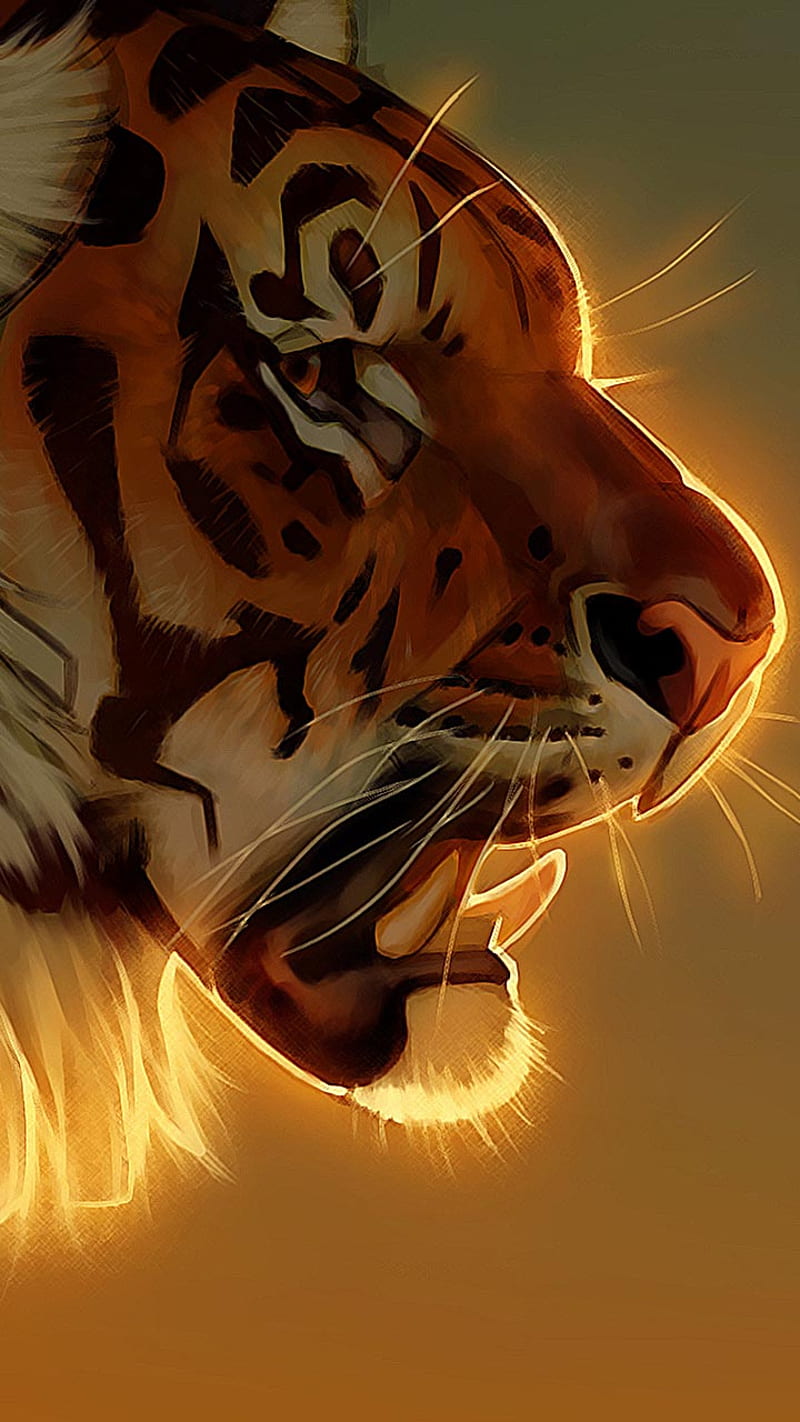 Tiger, gold, kaplan, leopard, lion, wild, HD phone wallpaper