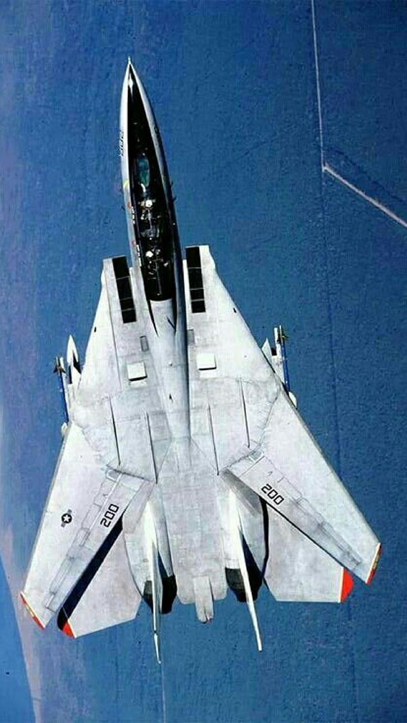 Grumman F-14 tomcat, plane, HD phone wallpaper