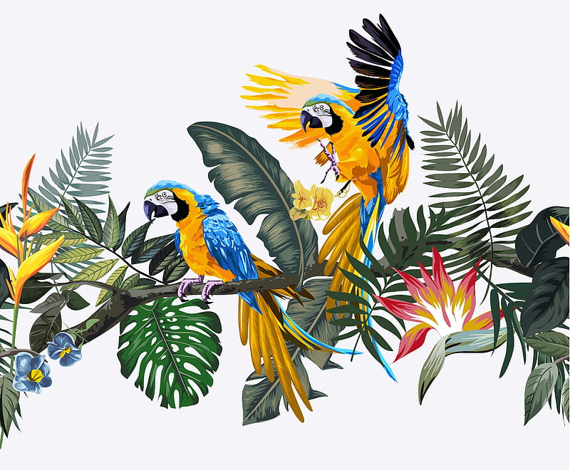 Parrots, summer, blue, white, bird, exotic, pasari, parrot, vara, yellow, HD wallpaper