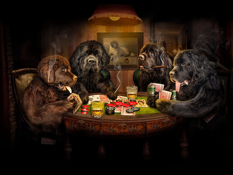 While the owners are not home, poker, dog, fantasy, caine, playing cards, funny, creative, HD wallpaper
