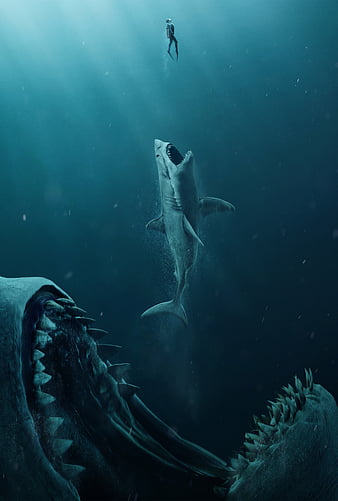 Blue Shark Wallpaper 4K Underwater Atlantic Ocean 2905