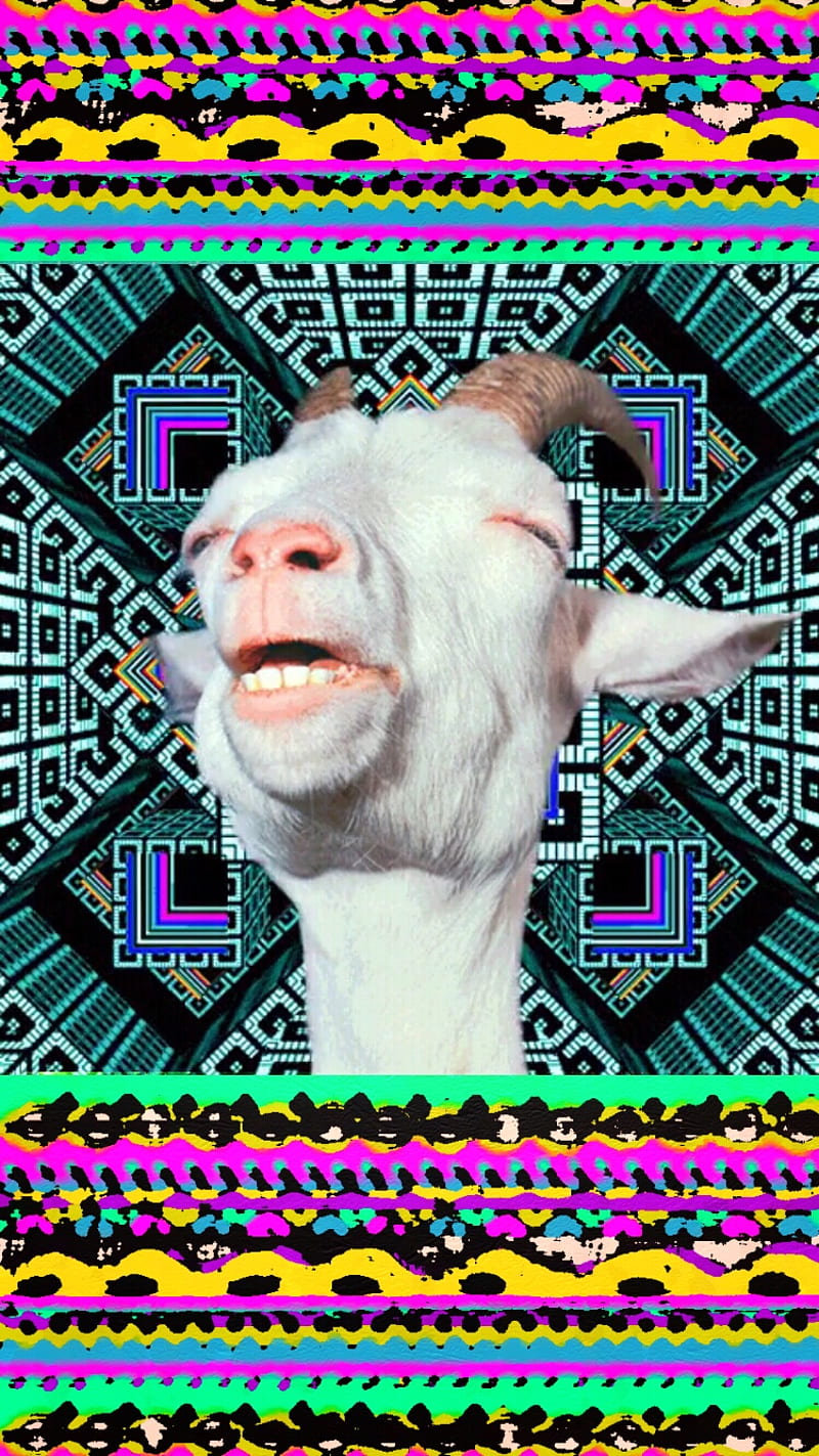 space trip goat, amazing, colors, cool, goat, high, patter, pics, rainbow, space goat, HD phone wallpaper