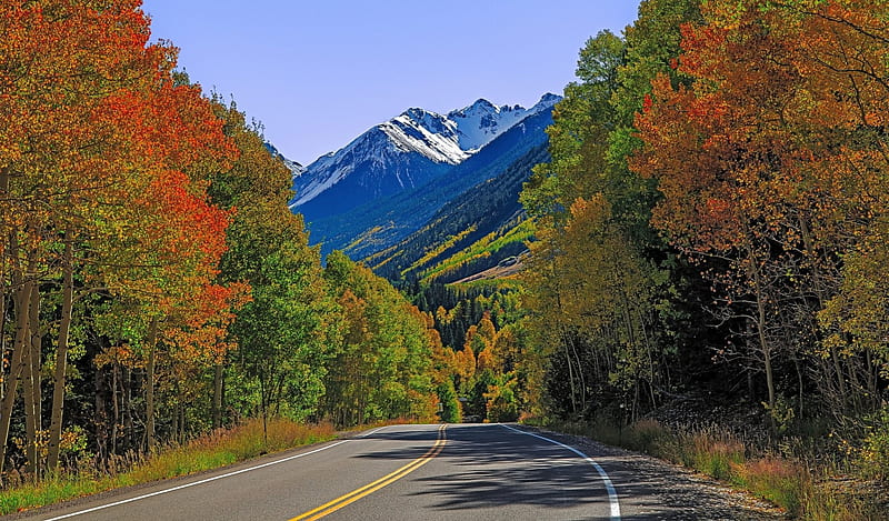 Road Trip in Autumn Forest, Fall, Mountains, Trees, Forests, Autumn, Roads, Nature, HD wallpaper