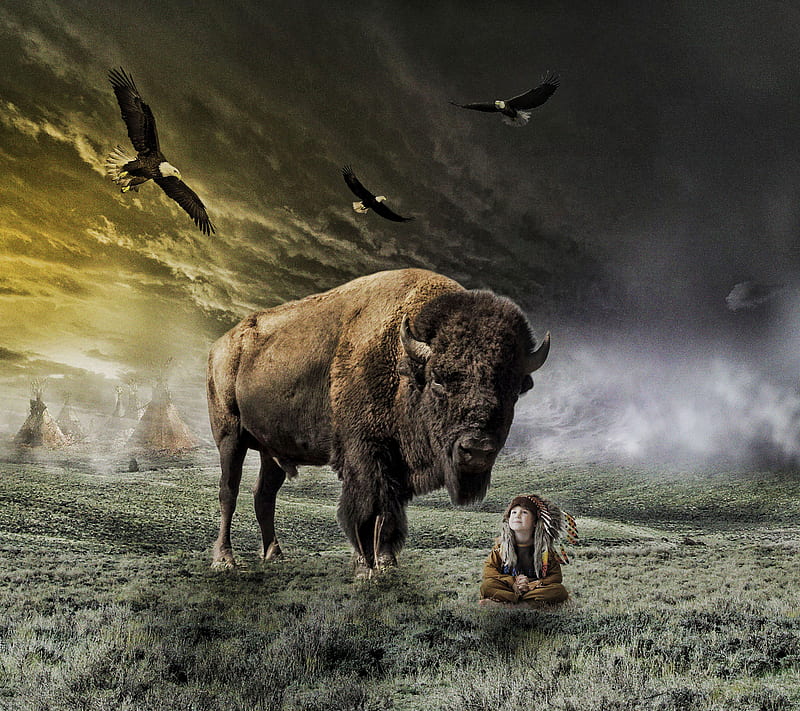 Native world, bison, fantasy, saguaro, HD wallpaper | Peakpx