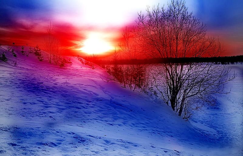 Winter sunset, red, brurring, bonito, sunset, trees, sky, clouds, winter, cold, sundown, snow, sunrise, light, frost, HD wallpaper