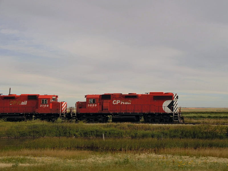 Canadian Pacific Railway, grain hauling, prairies, train, diesel, HD wallpaper