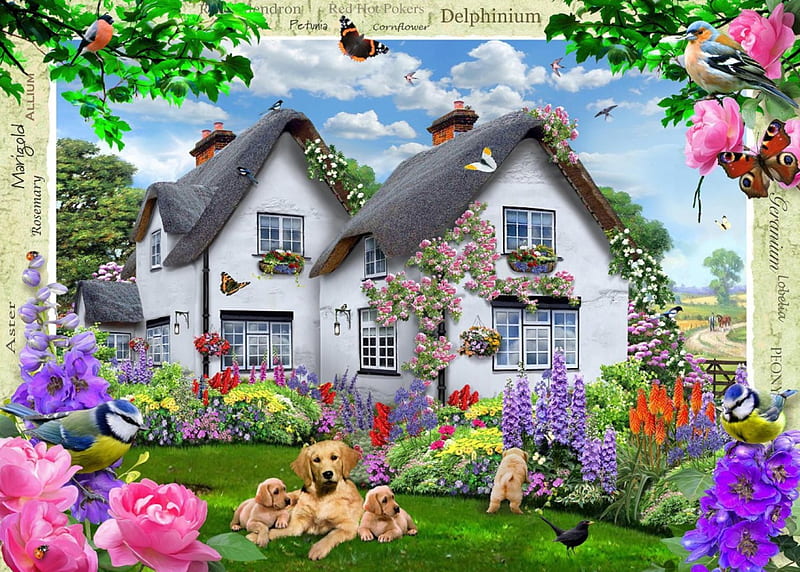 Delphinium Cottage, house, birds, butterflies, roses, artwork, chickadee, painting, blossoms, dogs, HD wallpaper