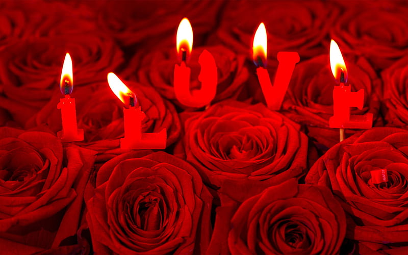 Valentines Day, red roses, burning candles, February 14, romance concepts, love, HD wallpaper